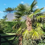 Les Sternes Barneville-Carteret