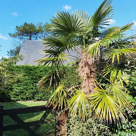 Les Sternes Barneville-Carteret