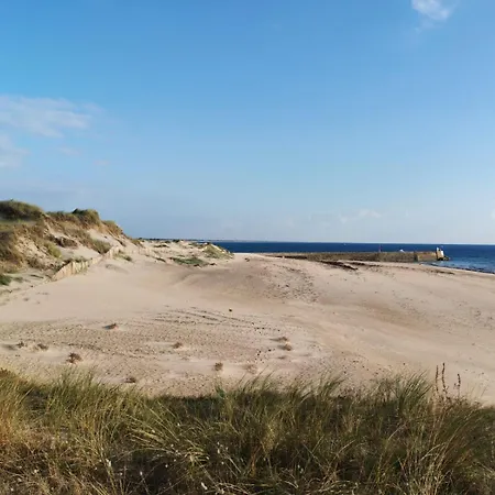 Les Sternes Barneville-Carteret