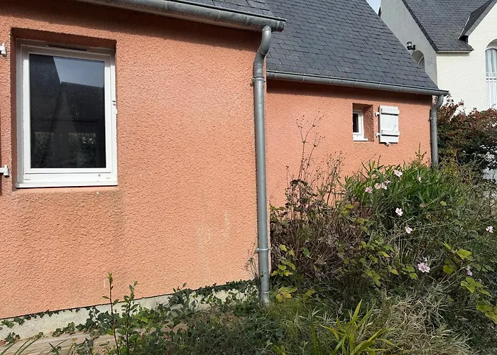 Les Sternes Barneville-Carteret