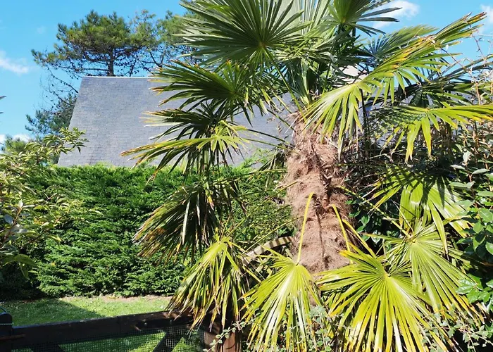 Les Sternes Barneville-Carteret