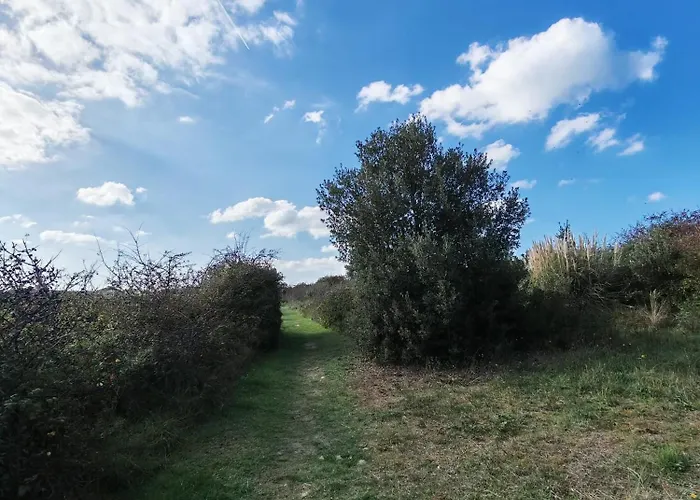 Les Sternes Feriehus Barneville-Carteret