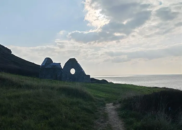 Les Sternes Barneville-Carteret