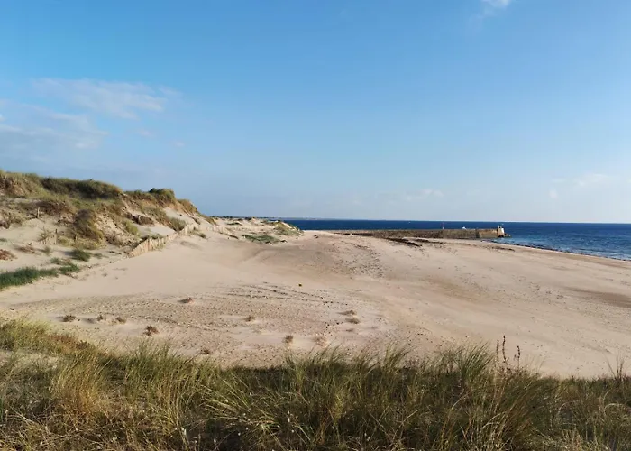 Les Sternes Barneville-Carteret