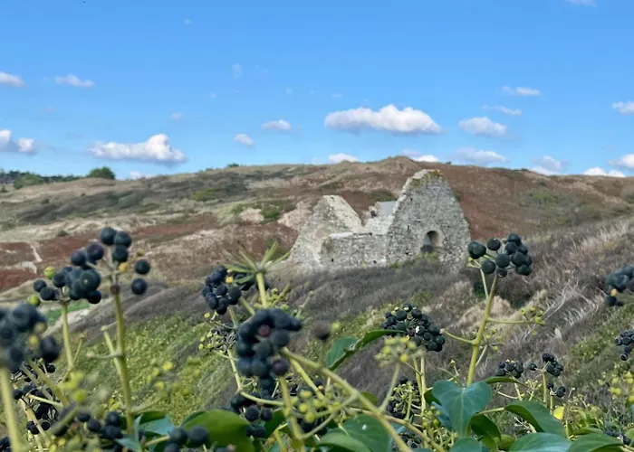 Les Sternes Nyaraló *