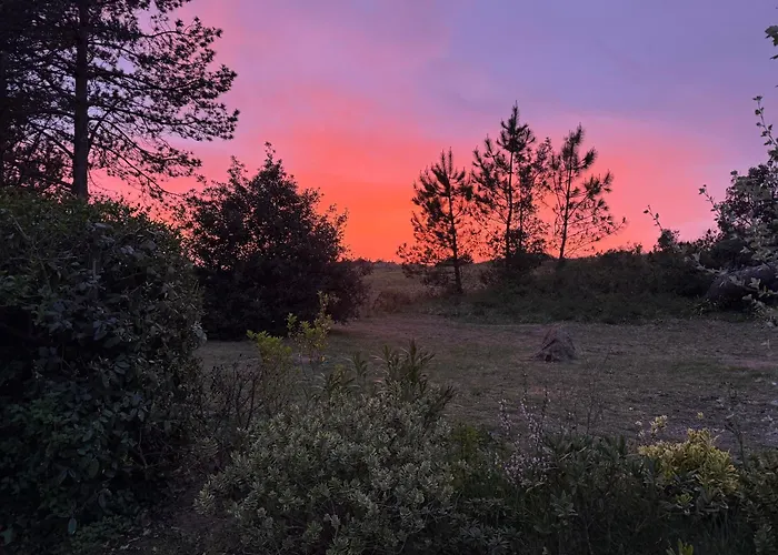 Les Sternes * Barneville-Carteret